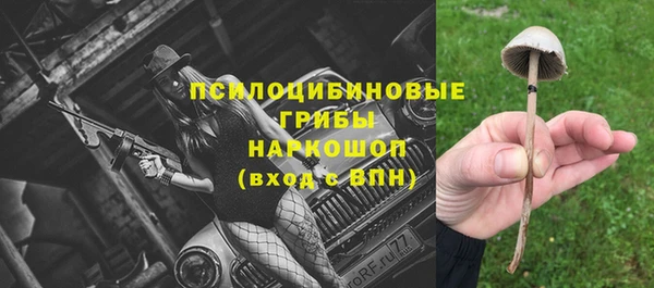 молекула духа Куйбышев